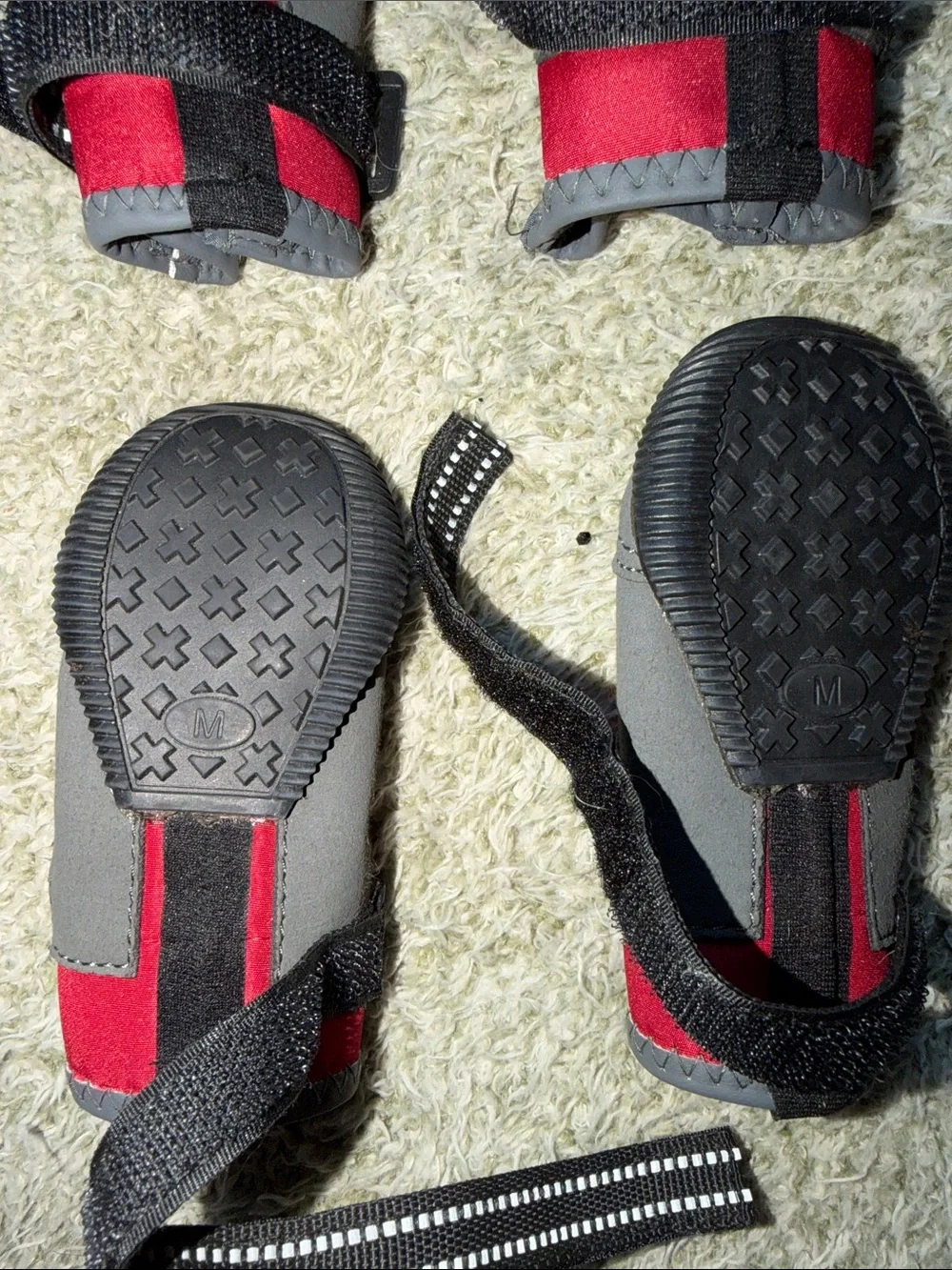 Top Paw durable dog